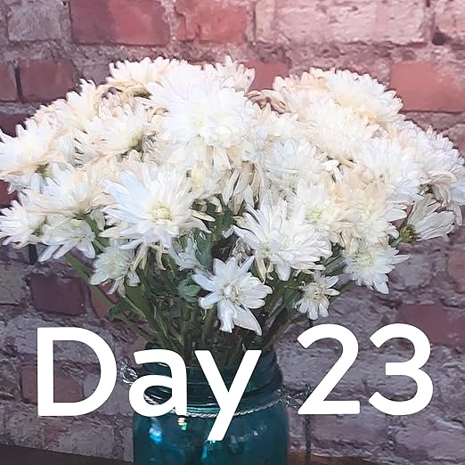 Flower Boosters Fresh Cut Flower Food – Longer-Lasting Blooms & Extended Vase Life – Flowers Last Up to 20 Days – 12.5 oz Value Size