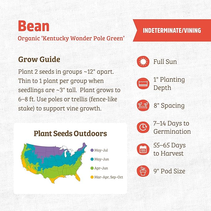 Back to The Roots 100% Organic Heirloom Seeds - Kentucky Green Bean Value Pack (16.8g Total)