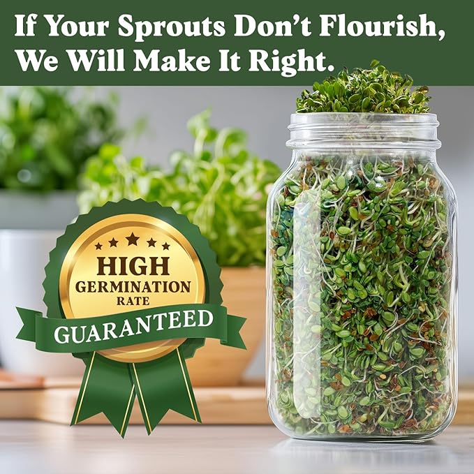 Seedboy Organic Non-GMO Sprouting Seeds, Gut Health Blend – USA Grown Microgreens Mix with Clover, Alfalfa, Fenugreek, Dill – 8 oz Bag Makes 8 Quarts / 24 Servings (Gut Health Blend)
