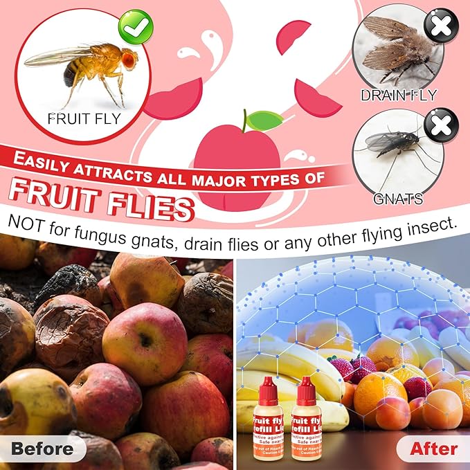 Qualirey 4 Pack Fruit Fly Trap Refill Liquid, 0.68oz/ Bottle Liquid Fruit Fly Traps for Indoors Non Toxic Safe Near Food, Effective Lure Refill for Indoor and Kitchen Use, Red