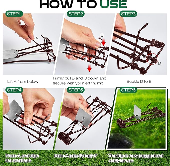 Qualirey 8 Pcs Outdoor Gopher Trap Easy Set Mole Trap Weather Resistant Gopher Killer Vole Killer for Lawn Garden Farm (Coffee)