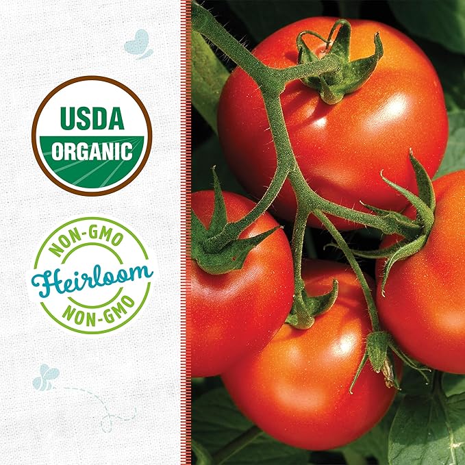 Back to The Roots 100% Organic Heirloom Seeds - Jersey Tomato Value Pack (200mg Total)