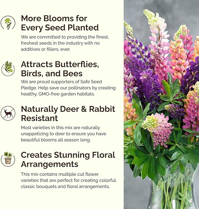 Eden Brothers Lupine Flower Mixed Seeds for Planting, 1/4 lb, 120,000+ Seeds with Russell, Arroyo, Yellow, Sky Lupine | Attracts Pollinators, Plant in Spring or Fall, Zones 3, 4, 5, 6, 7, 8, 9, 10