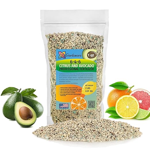 𝐁𝐄𝐒𝐓𝐒𝐄𝐋𝐋𝐄𝐑 6-4-6 Avocado Citrus Tree Plant Food for Outdoor/Indoor Gardening | Quick-Release Nitrogen Fertilizer | Orange, Lime, Avocado and Lemon Tree Fertilizer (1 Quart)