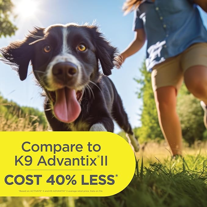 TevraPet Activate II Flea and Tick Prevention for Dogs | 4 Count | Extra Large Dogs 55+ lbs | Topical Drops | 4 Months Flea Treatment