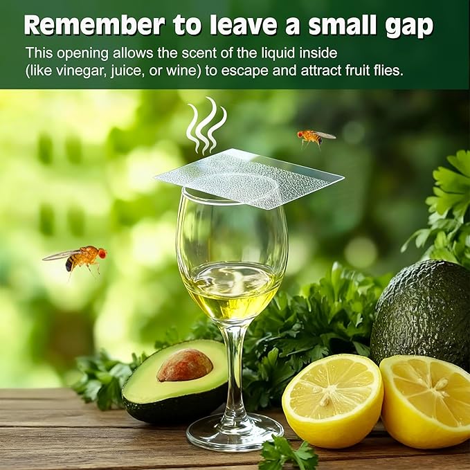 Double-Sided Sticky Trap Covers for Fruit Fly Traps – 25 Pack Adhesive Cards for Fruit Fly – Clear, Mess-Free, Indoor Use