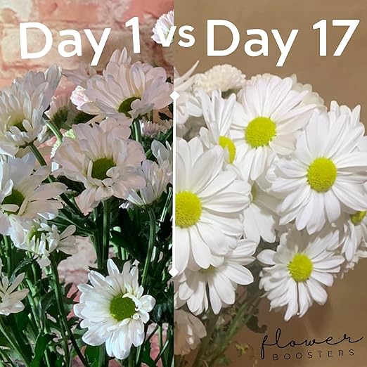 Flower Boosters Fresh Cut Flower Food – Longer-Lasting Blooms & Extended Vase Life – Flowers Last Up to 20 Days – 12.5 oz Value Size