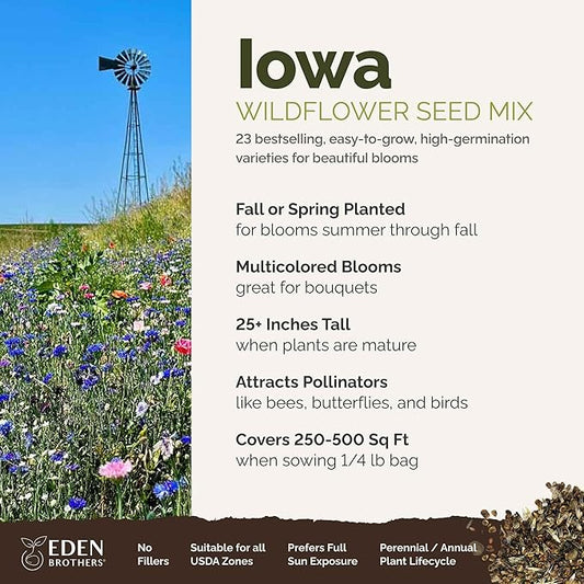 Eden Brothers Iowa Wildflower Mixed Seeds for Planting, 1/4 lb, 120,000+ Seeds with Cornflower, Candytuft | Attracts Pollinators, Plant in Spring or Fall, Zones
