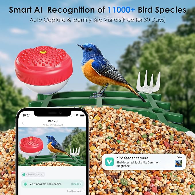 Bird Feeder with Camera, 2.5K UHD, AI Bird Species Recognition, Solar Powered, Instant Arrival Alerts, Weatherproof Squirrel-Proof Birdhouse with WiFi App Live View, 32GB Card & Accessories Included