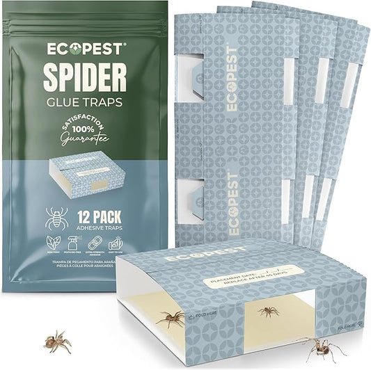 Spider Trap – 12 Pack | Sticky Indoor Glue Traps for Spiders and Other Bugs and Crawling Insects | Adhesive Spider Bait Trap, Monitor, Killer and Detector for Pest Control