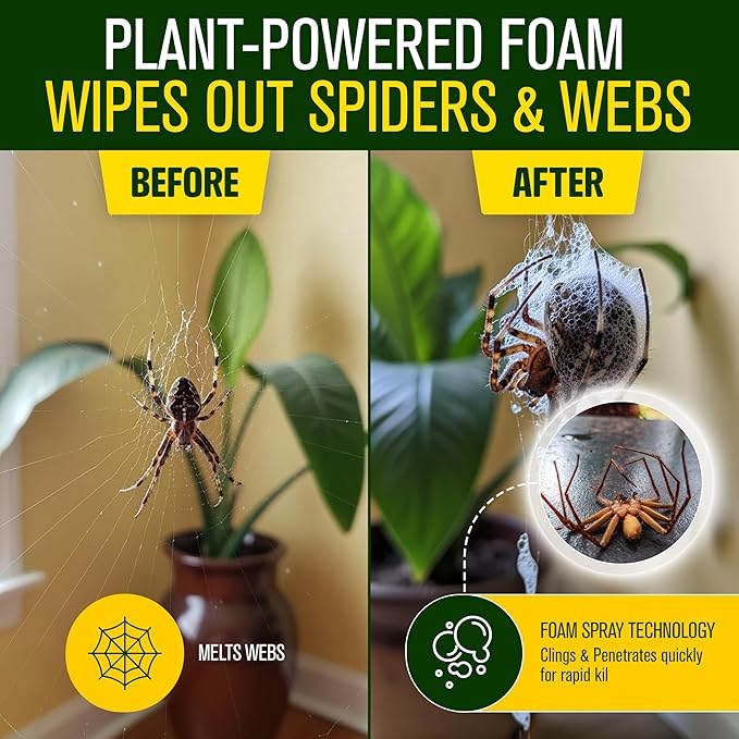 Green Guard Pest Control Spray - Indoor & Outdoor Killer of Ants, Roaches, Spiders & Other Crawling Insects, Safe Around Children & Pets, Plant-Based, Pleasant Scent (Cinnamon Might, 16oz)