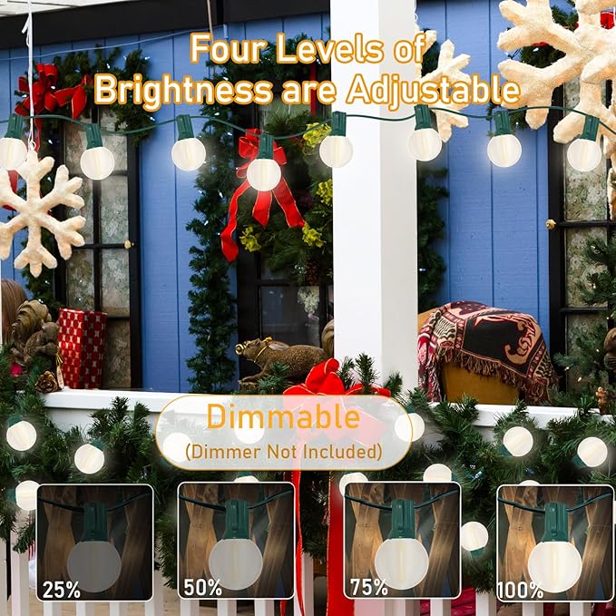 Pallerina G40 25FT LED Outdoor Christmas String Lights,Frosted Globe Lights with 27 (2 Spare) Plastic Shatterproof Round Bulbs