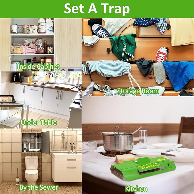 24 Pack Roach Traps Indoors Roach Killer Indoor Infestation, Cockroach Killer Indoor Home Cockroach Trap Sticky Traps for Insects