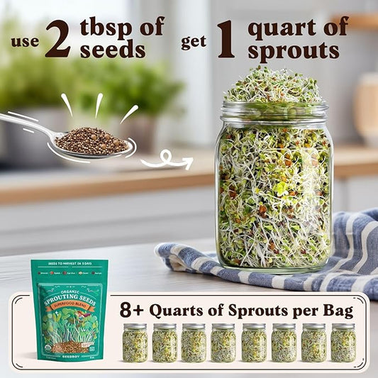 Seedboy Organic Non-GMO Sprouting Seeds, Superfood & Protein Blend – 2 Pack Bundle – USA Grown Sprouting & Microgreens Seeds – Two 8 oz Bags Makes 12 Quarts / 36 Servings (Superfood/Protein)