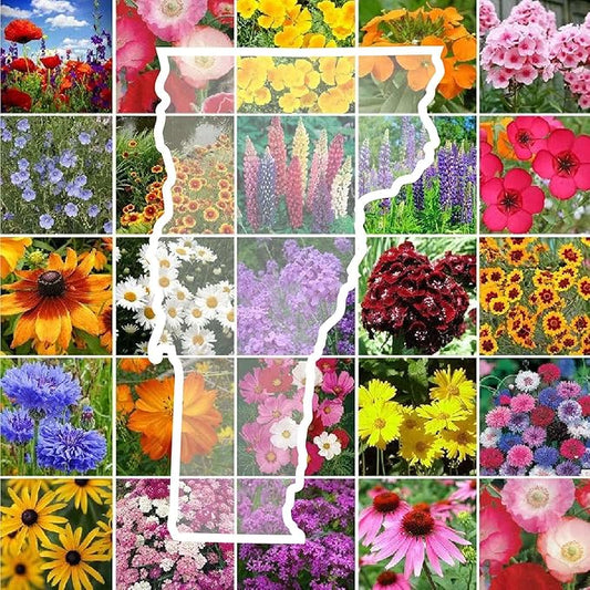 Eden Brothers Vermont Wildflower Mixed Seeds for Planting, 1 oz, 30,000+ Seeds with Cosmos, Cornflower | Attracts Pollinators, Plant in Spring or Fall, Zones