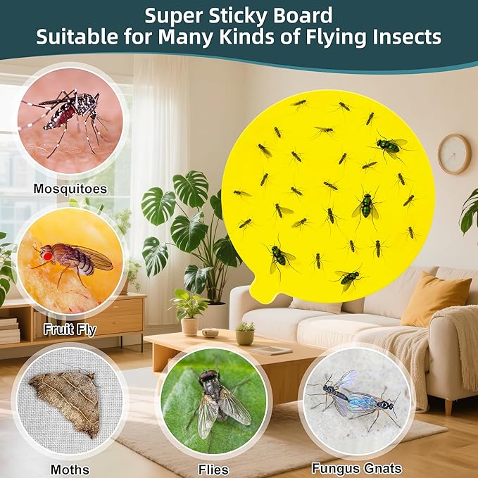 36 Pcs 4.3" Replacement Glue Boards for Katchy,Indoor Insect Trap Refills Compatible wifh Katchy,Dunaga,Fenun,and Fvoai
