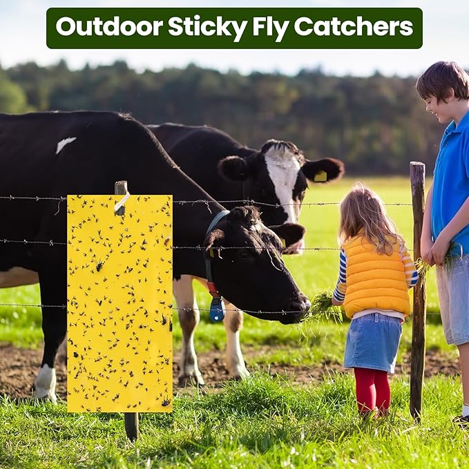 Qualirey 100 Pcs 7.87 x 3.9 Inch Sticky Traps for Plant Double Sided Sticky Trap for Gnats with Twist Ties Fly Traps for Fruit Insect Fungus Bugs Indoor Outdoor(Yellow)