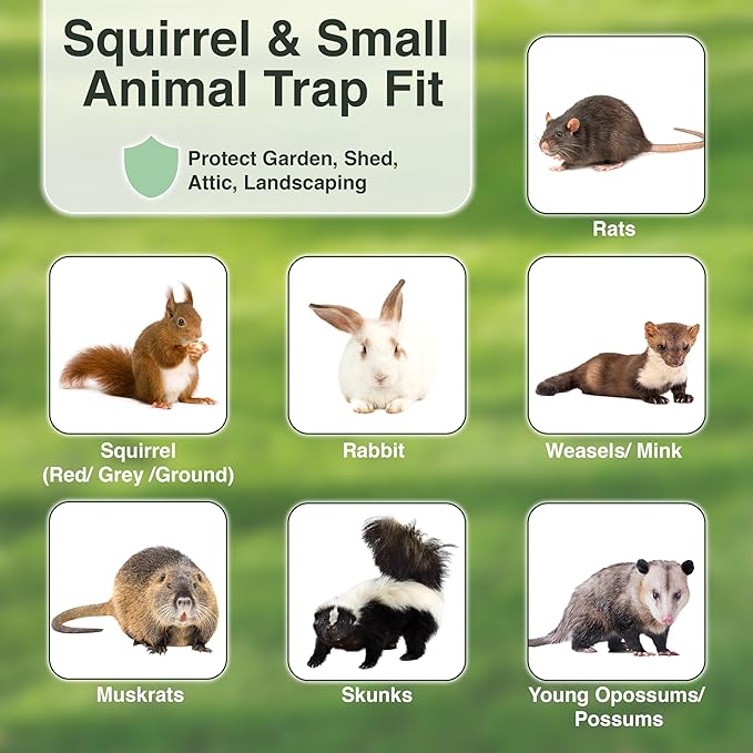 HOMESTEAD Heavy Duty Live Trap - Professional Style One-Door Live Animal Traps for Rabbit, Squirrel, Possum, Skunk, Kitten, Mink Small