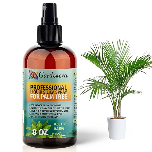 𝐁𝐄𝐒𝐓𝐒𝐄𝐋𝐋𝐄𝐑 Liquid Silica Boost Fertilizer and Supplement Spray for Palm Tree Plants - Premium Ready-to-Use Liquid Silicon Plant Superfood Mist for Indoor & Outdoor Palm Trees - 8oz