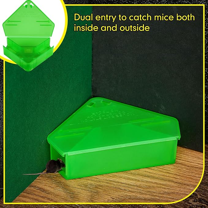 Qualirey 24 Pcs Mice Station with Key Triangle Bait Station Reusable Rodent Trap Bait Box, Keeps Children and Pets Safe Indoor & Outdoor, Bait Not Included, Suitable for Small Mice (Translucent Green)