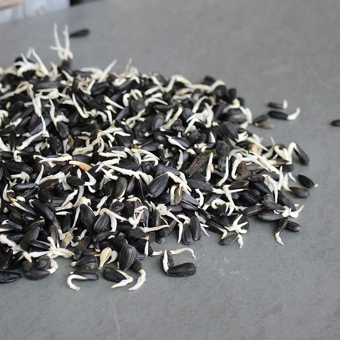 Organic Unshelled Sunflower Seed- 5 Bags Pre-Measured for a 10"x20" Growing Tray (About 2.5 Lbs) - Non-GMO Black Oil Sun Flower Seeds for Sprouts, Microgreens, More