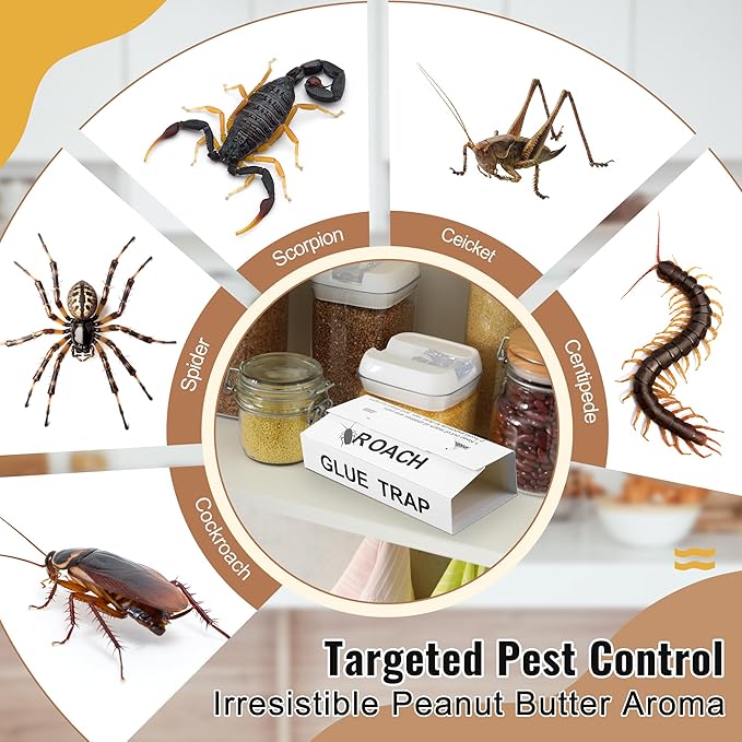 Qualirey 10 Pack Roach Traps Sticky Indoor, Crawling Insect Glue Trap for Spider, Cricket, Ant & Cockroach, Pest Control Sticky Traps for House & Garage - 8.3 x 5.3 Inch