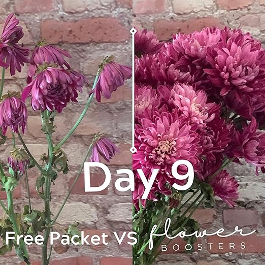 Flower Boosters Fresh Cut Flower Food – Longer-Lasting Blooms & Extended Vase Life – Flowers Last Up to 20 Days – 12.5 oz Value Size