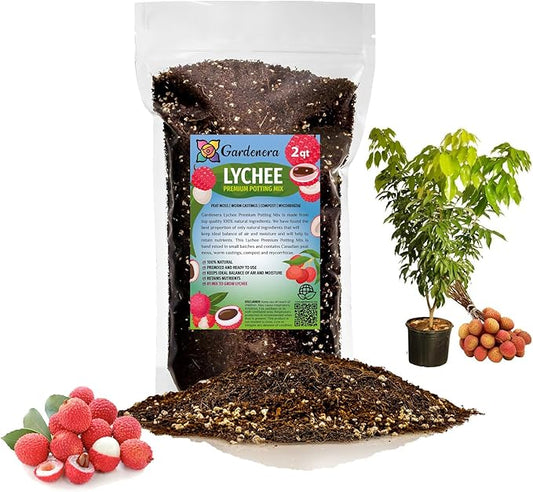 GARDENERA Premium Lychee Potting Soil Mix - Perfect Balance of Nutrients, Drainage, and Aeration for Thriving Lychee Trees - 2 Quart