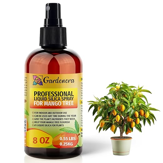 𝐒𝐔𝐏𝐄𝐑𝐈𝐎𝐑 Liquid Silica Boost Fertilizer and Supplement Spray for Mango Tree Plants – Pre-Mixed, Ready-to-Use Liquid Silicon Plant Superfood Mist for Indoor & Outdoor Plants – 8oz