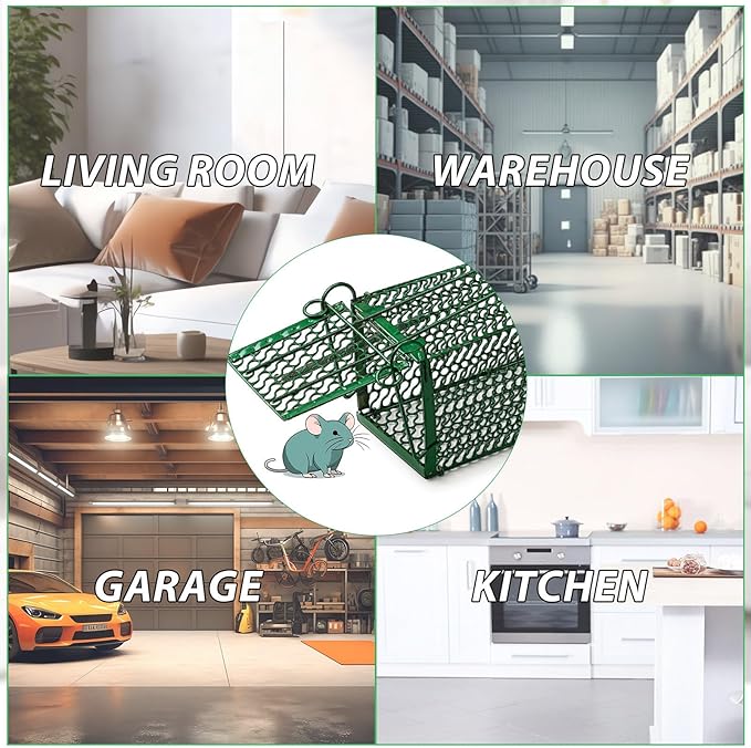 Qualirey 4 Pcs Humane Rat Trap Chipmunk Squirrel Cage Trap Foldable Rodent for Small Live Animal Voles Hamsters Catch and Release for Kitchen Yard Garage Indoors Outdoors (Green)