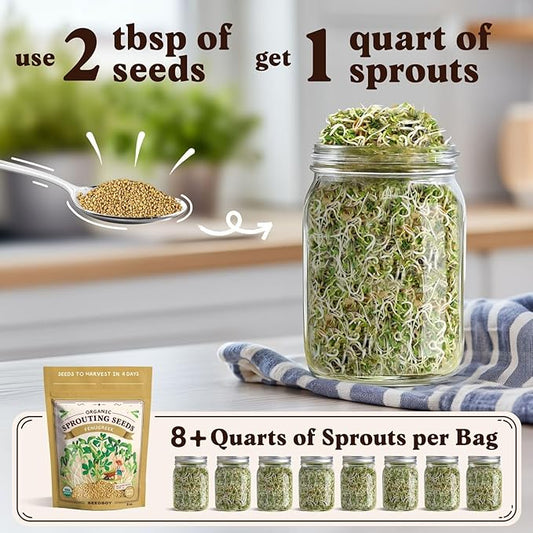 Seedboy Organic Non-GMO Fenugreek Seeds for Sprouting - Microgreens Sprouting Seeds - 8 oz Bag Makes 8 Quarts / 24 Servings (Fenugreek)