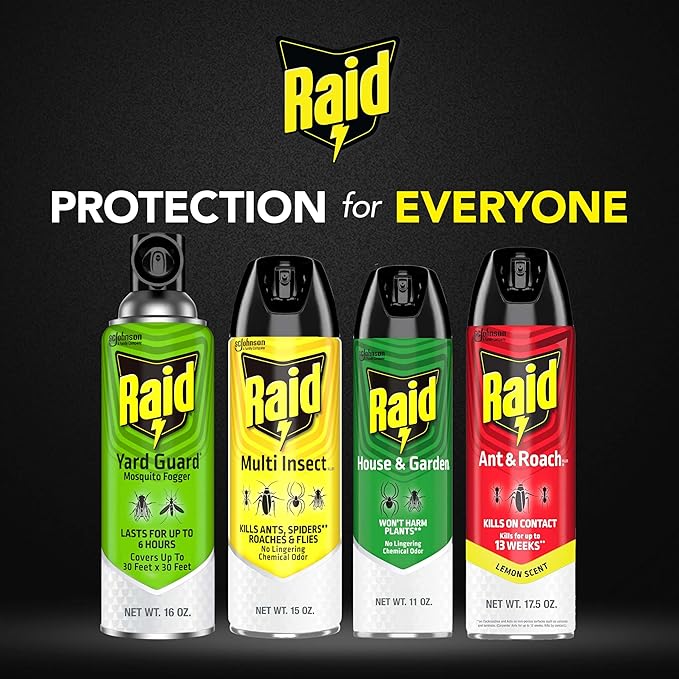 Raid House and Garden Insect Killer, Kills Ants, Roaches, Spiders and Flies on Contact, 11oz