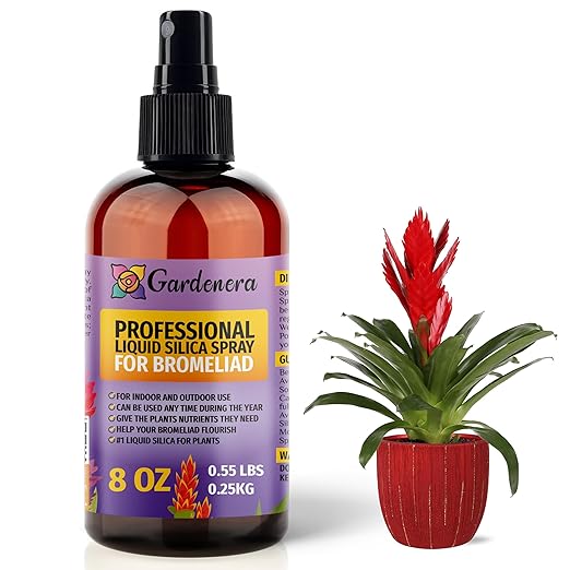 𝐒𝐔𝐏𝐄𝐑𝐈𝐎𝐑 Liquid Silica Boost Fertilizer and Supplement Spray for BROMELIAD Plants – Pre-Mixed, Ready-to-Use Liquid Silicon Plant Superfood Mist for Indoor & Outdoor Plants – 8oz