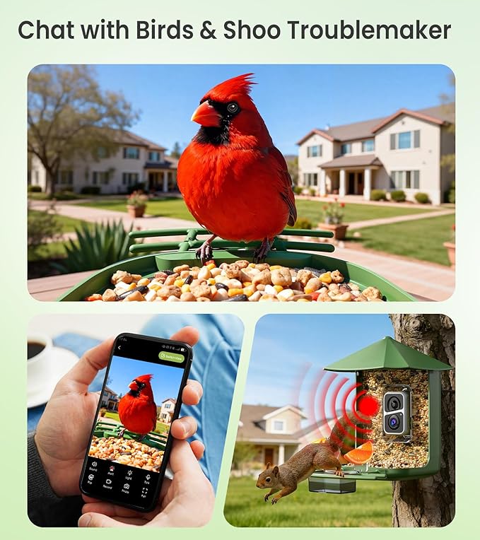 Smart Bird Feeder with Camera - 2.5K HD Night Vision Bird Feeder with Camera Solar Powered, Free AI Identify Auto Video 170° Live View Birds Feeders for Birds Lovers Outdoors(Green)
