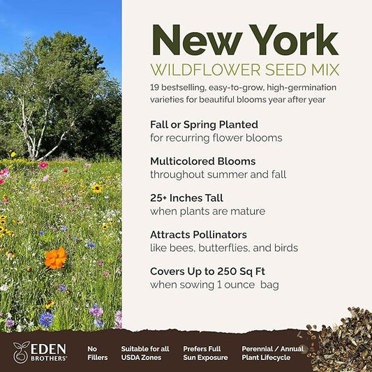 Eden Brothers New York Wildflower Mixed Seeds for Planting, 1 oz, 30,000+ Seeds with Coneflower, Cosmos | Attracts Pollinators, Plant in Spring or Fall, Zones