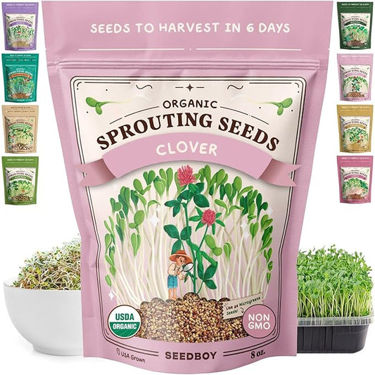 Seedboy Organic Non-GMO Clover Seeds for Sprouting - USA Grown Microgreens Sprouting Seeds - 8 oz Bag Makes 8 Quarts / 24 Servings (Red Clover)