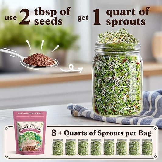 Seedboy Organic Non-GMO Radish Seeds for Sprouting - USA Grown Microgreens Sprouting Seeds - 8 oz Bag Makes 8 Quarts / 24 Servings (Daikon Radish)