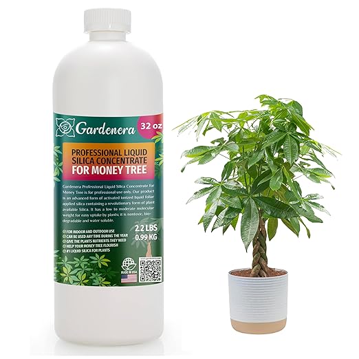 𝐏𝐑𝐎𝐅𝐄𝐒𝐒𝐈𝐎𝐍𝐀𝐋 Liquid Silica Plant Supplement - 32oz - MONEY TREE Plants Liquid Silica Boost Fertilizer - Stronger Stems & Healthy Leaves for Indoor & Outdoor Money Trees (Makes 180 Gallons)