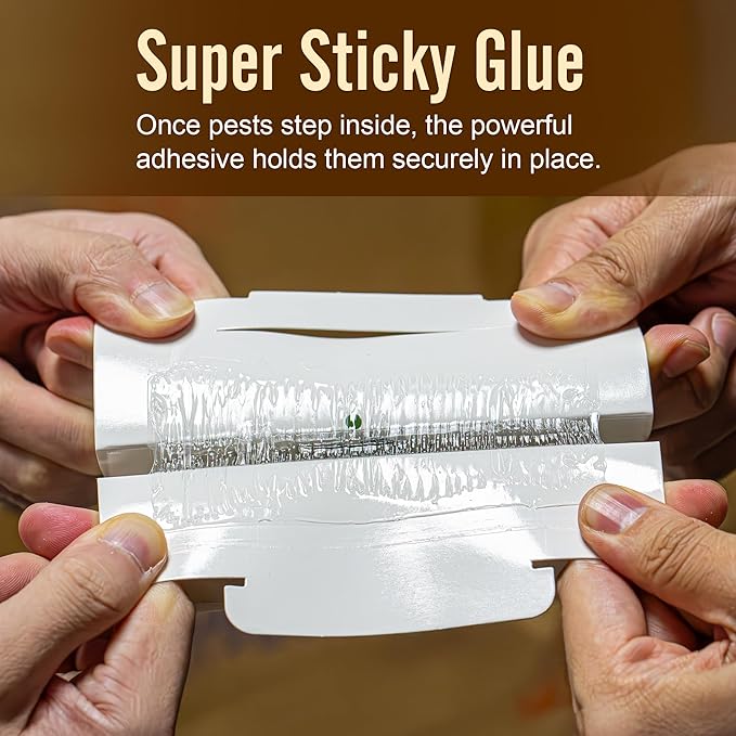 20 Sticky Insect Trap for Mice & Crawling Insects – Flat or Foldable, Scented Safe & Easy Indoor Use