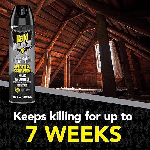 Raid Max Spider and Scorpion Killer, Kills Spiders, Scorpions, Roaches, Ants, Waterbugs, Earwigs, 12 Oz