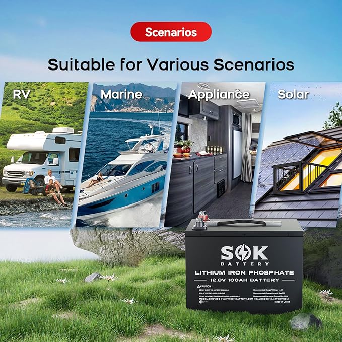 SOK Battery 100Ah 12V LiFePO4 Battery Deep Cycle Lithium Iron Phosphate Battery 12 Volt with Low Temp Protection, 100A BMS Ideal for RV, Solar, Wind, and Off-Grid Use