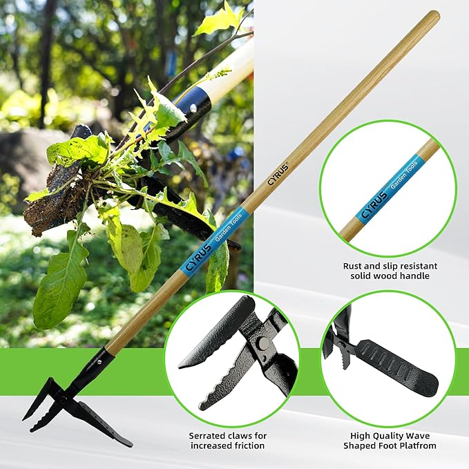 CYRUS 39" Weed Puller Tool - Carbon Steel Gardening Hand Tool with Ergonomic Long Ash Wood Handle - Effortless Manual Weed Removal Garden Tool
