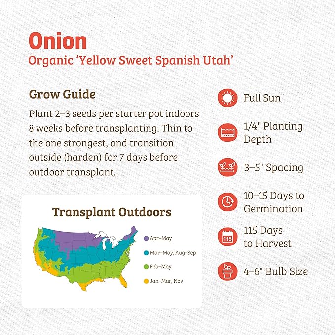Back to The Roots 100% Organic Heirloom Seeds - Yellow Onion Value Pack (400mg Total)