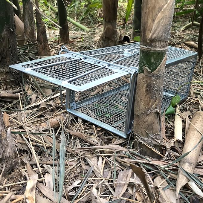 Gingbau Rat Trap Humane Live Mouse Chipmunk Trap Cage (Not for Squirrels)