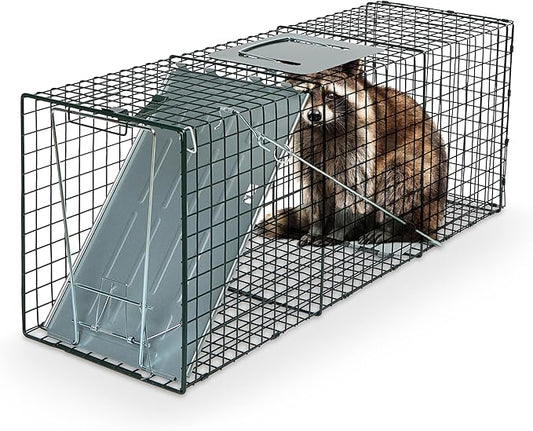 Humane Way Sentinel 32 Inch Live Animal Trap - No Assembly Required - Safe Medium Traps for All Animals - Raccoons, Cats, Groundhogs, Opossums - 32" L x 10.5" W x 12.5" H