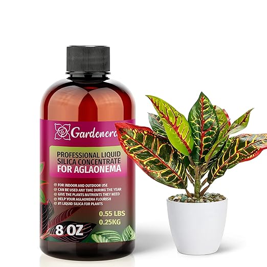 Gardenera Aglaonema Fertilizer - Liquid Silica Plant Supplement - 8oz (250mL) - Strengthens Stems & Prevents Breakage - Ideal for Indoor & Outdoor Aglaonema Plants