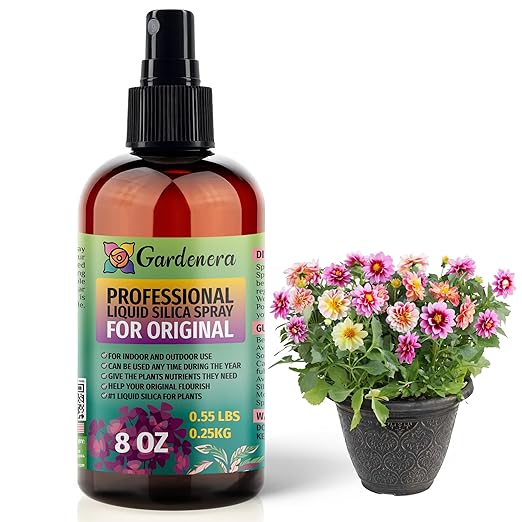 𝐁𝐄𝐒𝐓𝐒𝐄𝐋𝐋𝐄𝐑 Liquid Silica Boost Fertilizer and Supplement Mist for All Plants - Original - Ready-to-Use Liquid Silicon Plant Superfood Spray for All Indoor & Outdoor Plants - 8oz