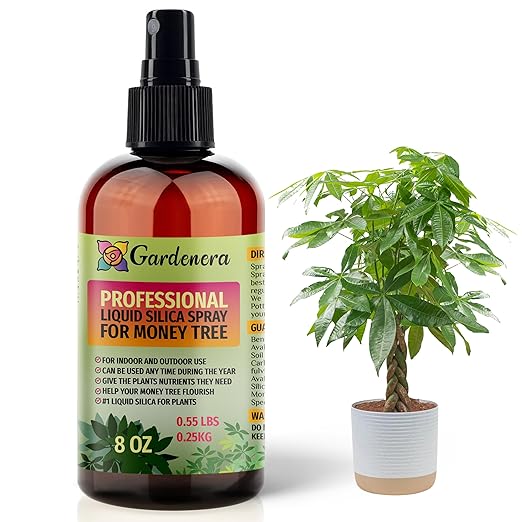 𝐒𝐔𝐏𝐄𝐑𝐈𝐎𝐑 Liquid Silica Boost Fertilizer and Supplement Spray for Money Tree Plants – Pre-Mixed, Ready-to-Use Liquid Silicon Plant Superfood Mist for Indoor & Outdoor Plants – 8oz