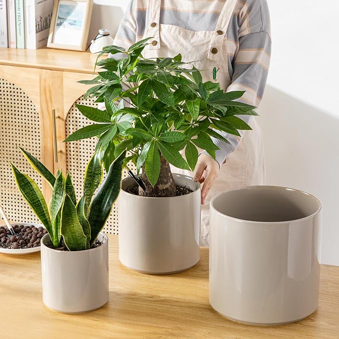 vancasso 6"+8"+10" Ceramic Pot for Plants, Large Outdoor Indoor Planter Pots with Drainage Holes, Set of 3, Grey