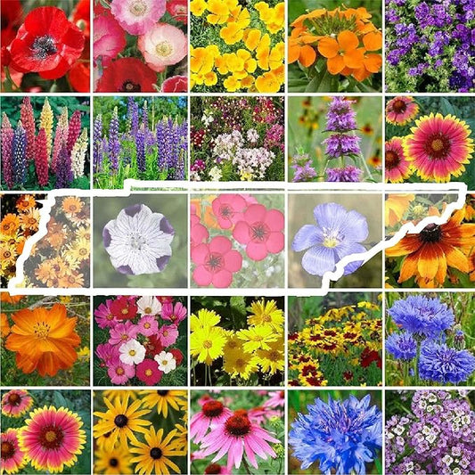 Eden Brothers Tennessee Wildflower Mixed Seeds for Planting, 1 lb, 480,000+ Seeds with Cosmos, Black Eyed Susan | Attracts Pollinators, Plant in Spring or Fall, Zones